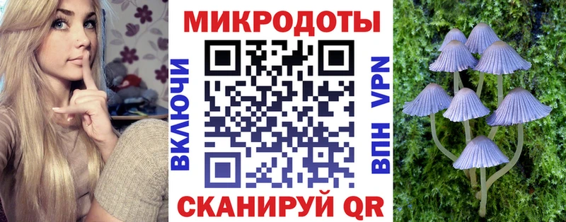 hydra как войти  Касимов  Галлюциногенные грибы GOLDEN TEACHER 